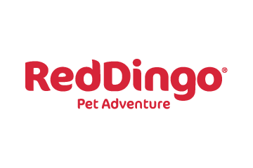 RED DINGO